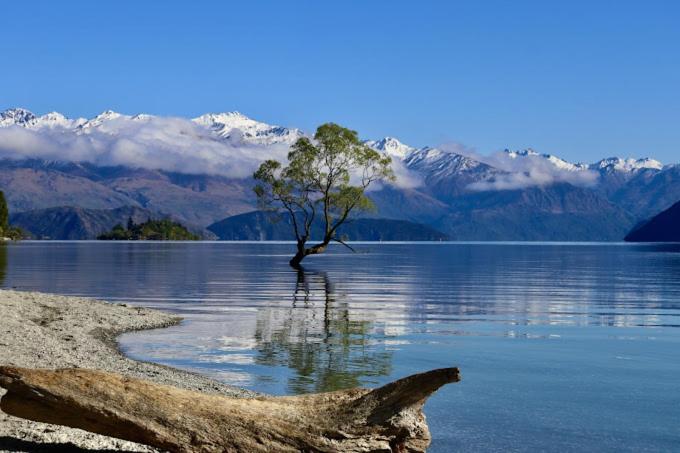 The Rest Nest Appartement Wanaka Buitenkant foto